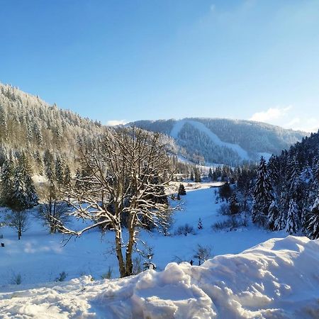 La Bresse - Appartement De Charme Екстериор снимка